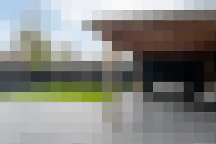 I. Jousmastraat 4 Dokkum thumbnail 36