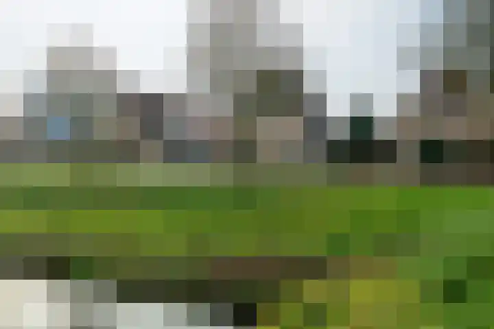 I. Jousmastraat 4 Dokkum thumbnail 6