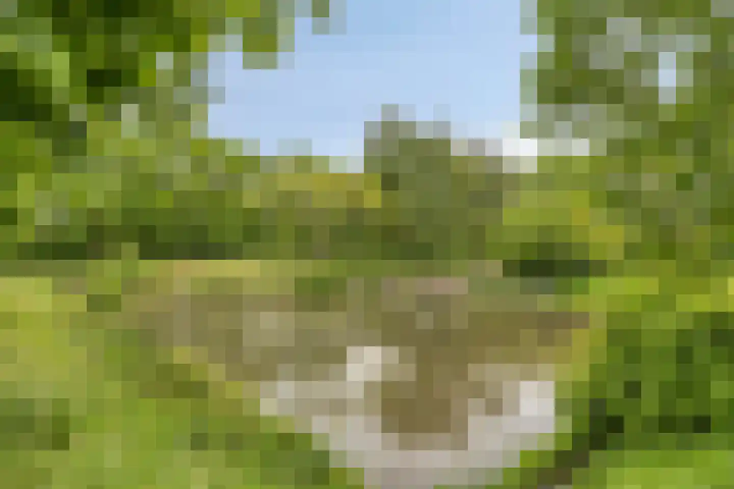 I.K. Brunelerf 20 Amersfoort thumbnail 25