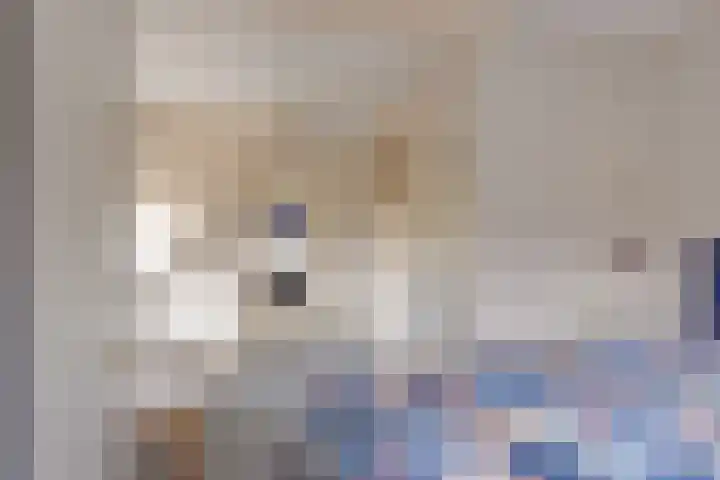 I.M. van der Bijlstraat 11 Zonnemaire thumbnail 15