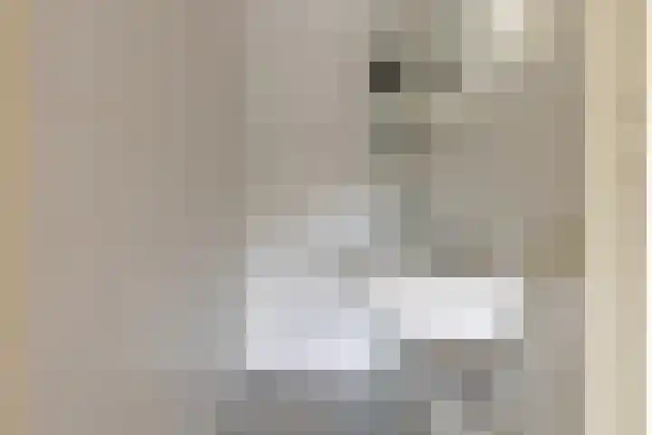I.M. van der Bijlstraat 11 Zonnemaire thumbnail 20