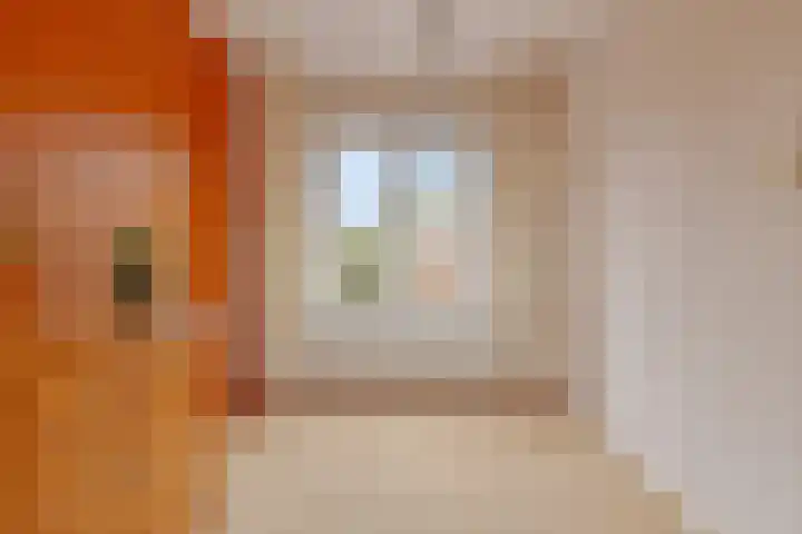 I.M. van der Bijlstraat 11 Zonnemaire thumbnail 8