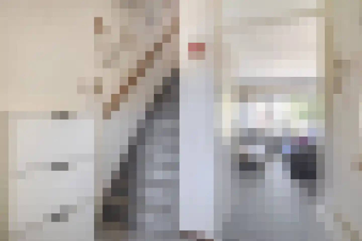 Ibishoek 37 Spijkenisse thumbnail 12