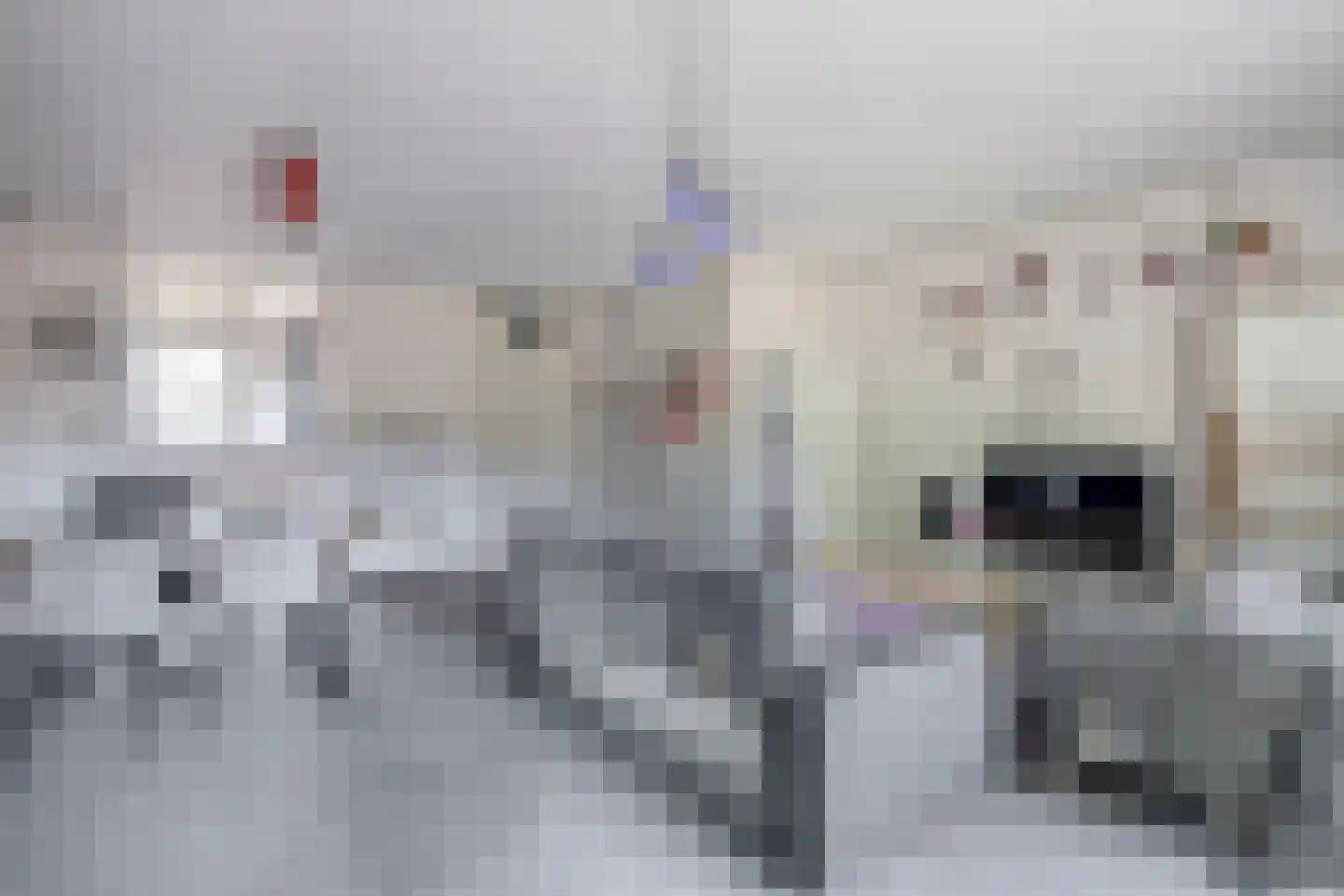 Ibishoek 37 Spijkenisse thumbnail 16