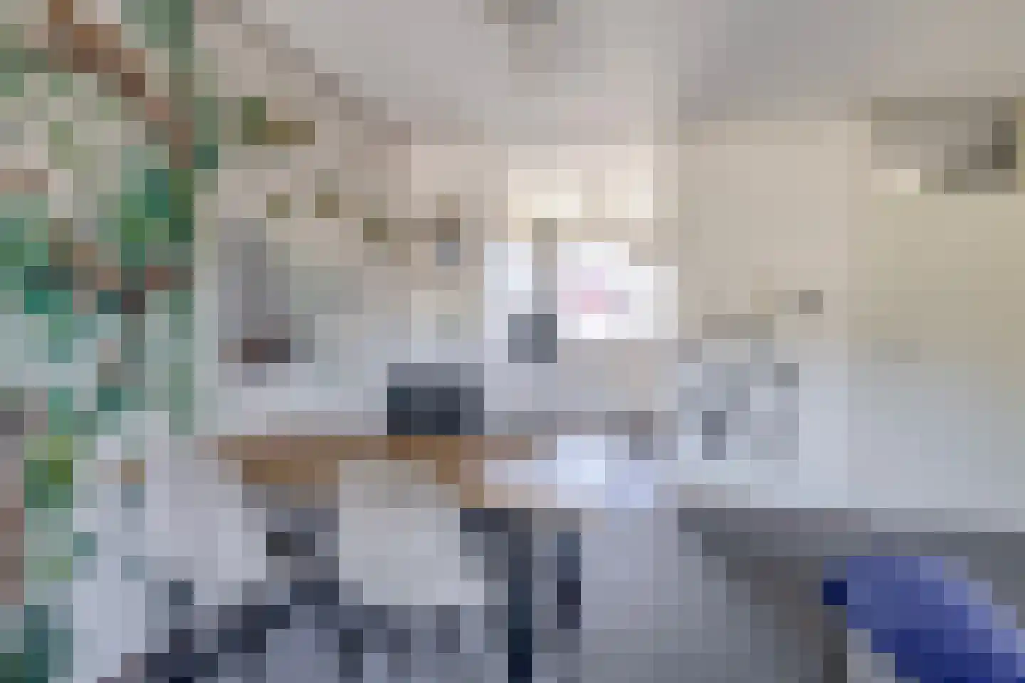 Ibishoek 37 Spijkenisse thumbnail 19