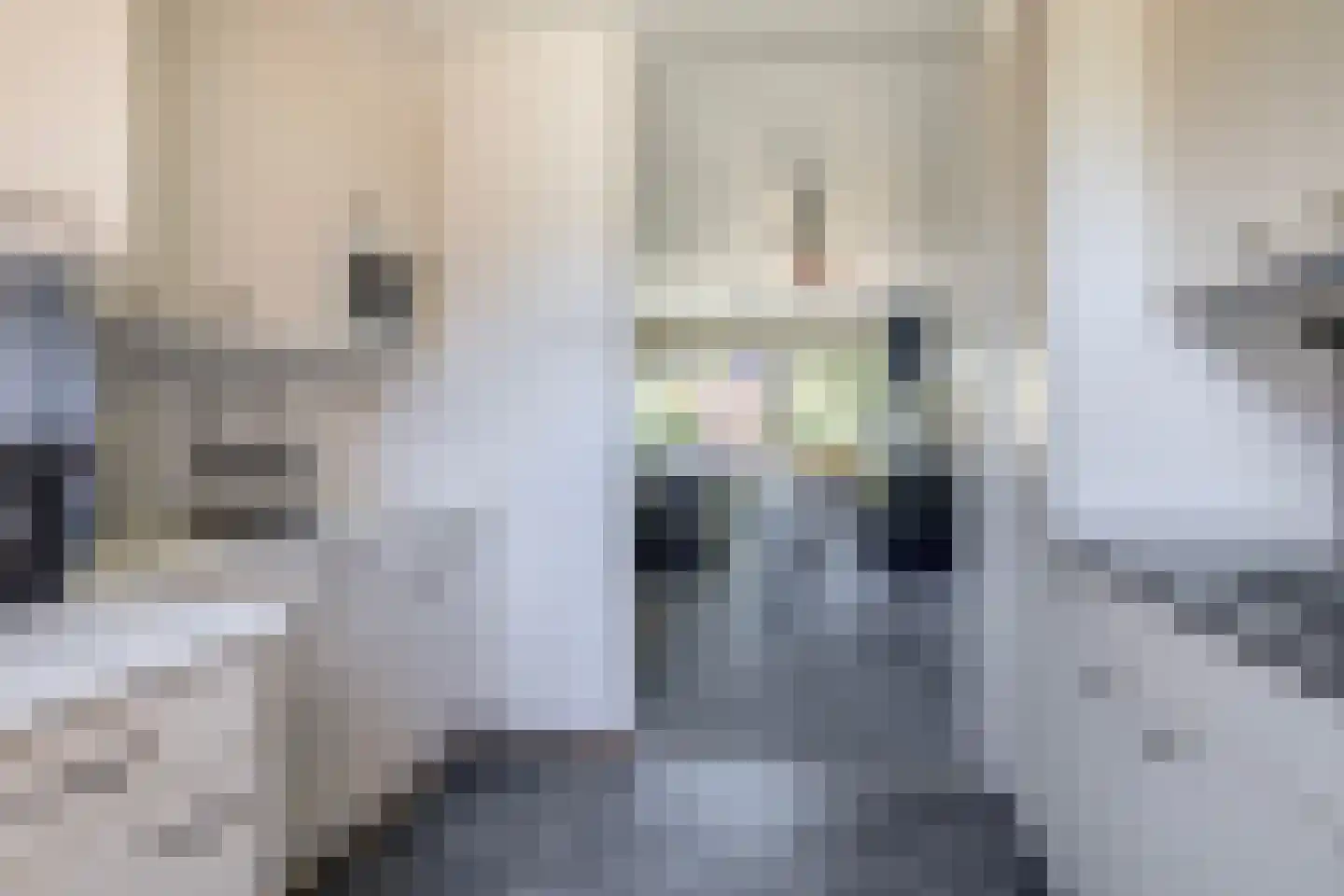 Ibishoek 37 Spijkenisse thumbnail 21