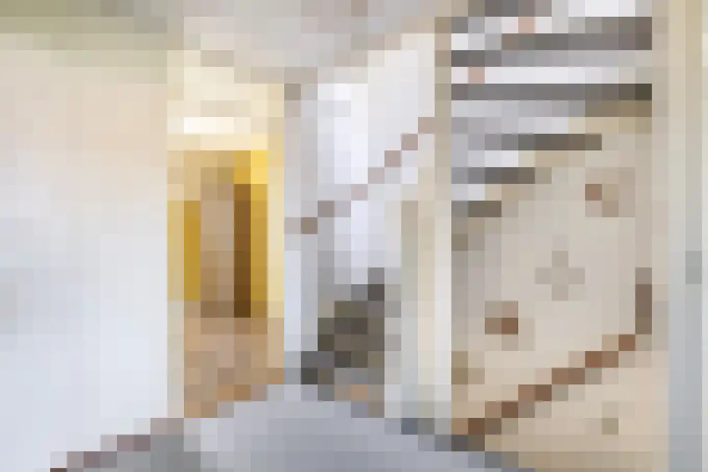 Ibishoek 37 Spijkenisse thumbnail 27