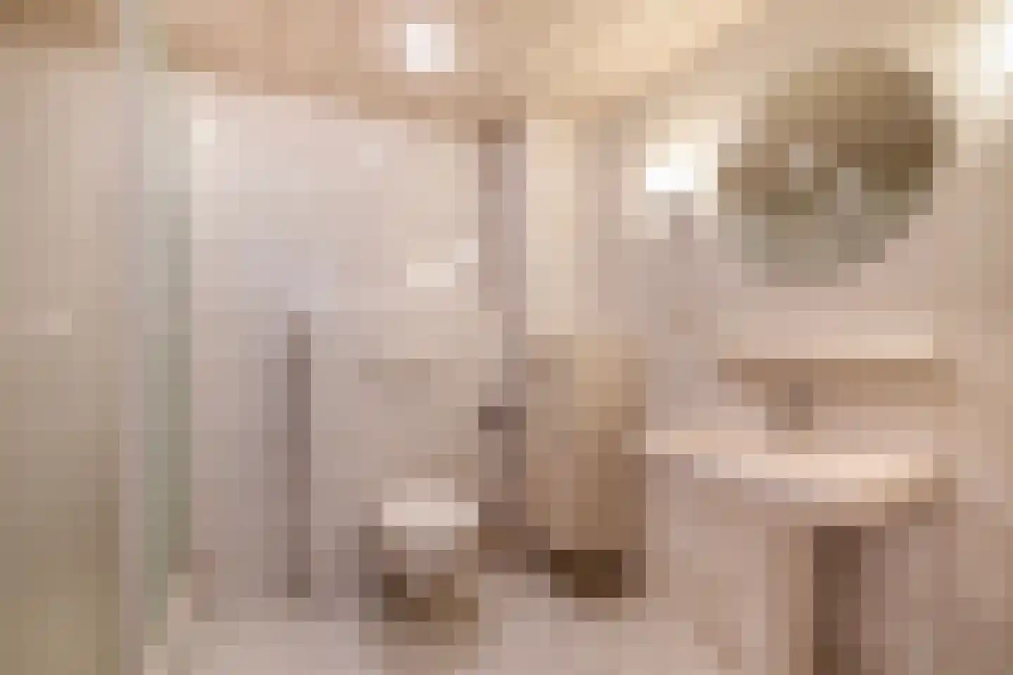 Ibishoek 37 Spijkenisse thumbnail 31