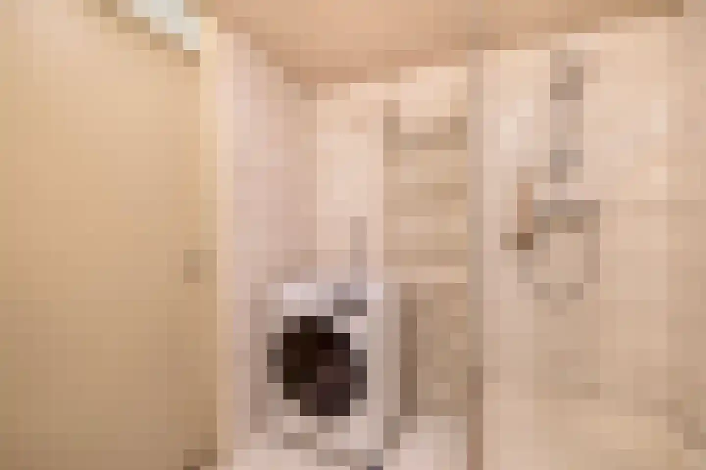 Ibishoek 37 Spijkenisse thumbnail 32