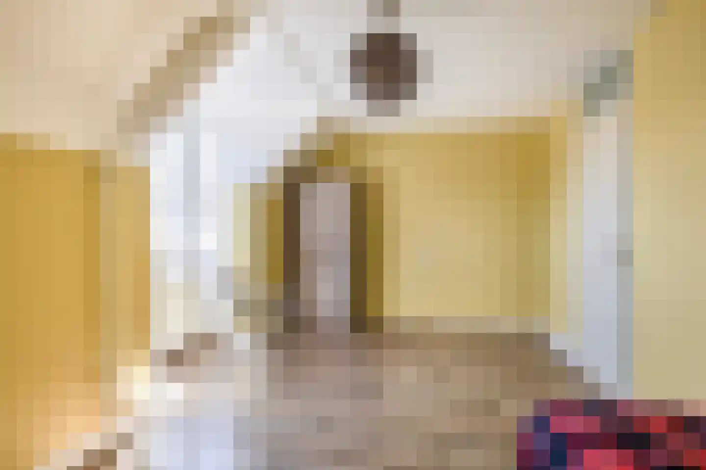 Ibishoek 37 Spijkenisse thumbnail 35