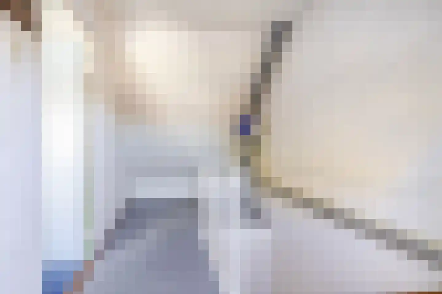 Ibishoek 37 Spijkenisse thumbnail 36