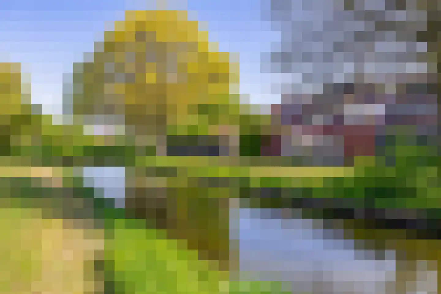 Ibishoek 37 Spijkenisse thumbnail 41