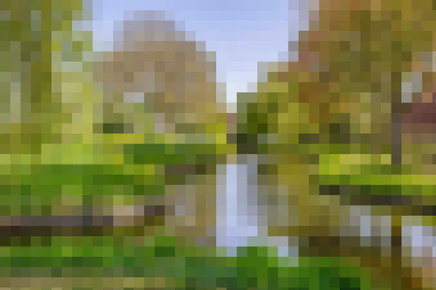Ibishoek 37 Spijkenisse thumbnail 42