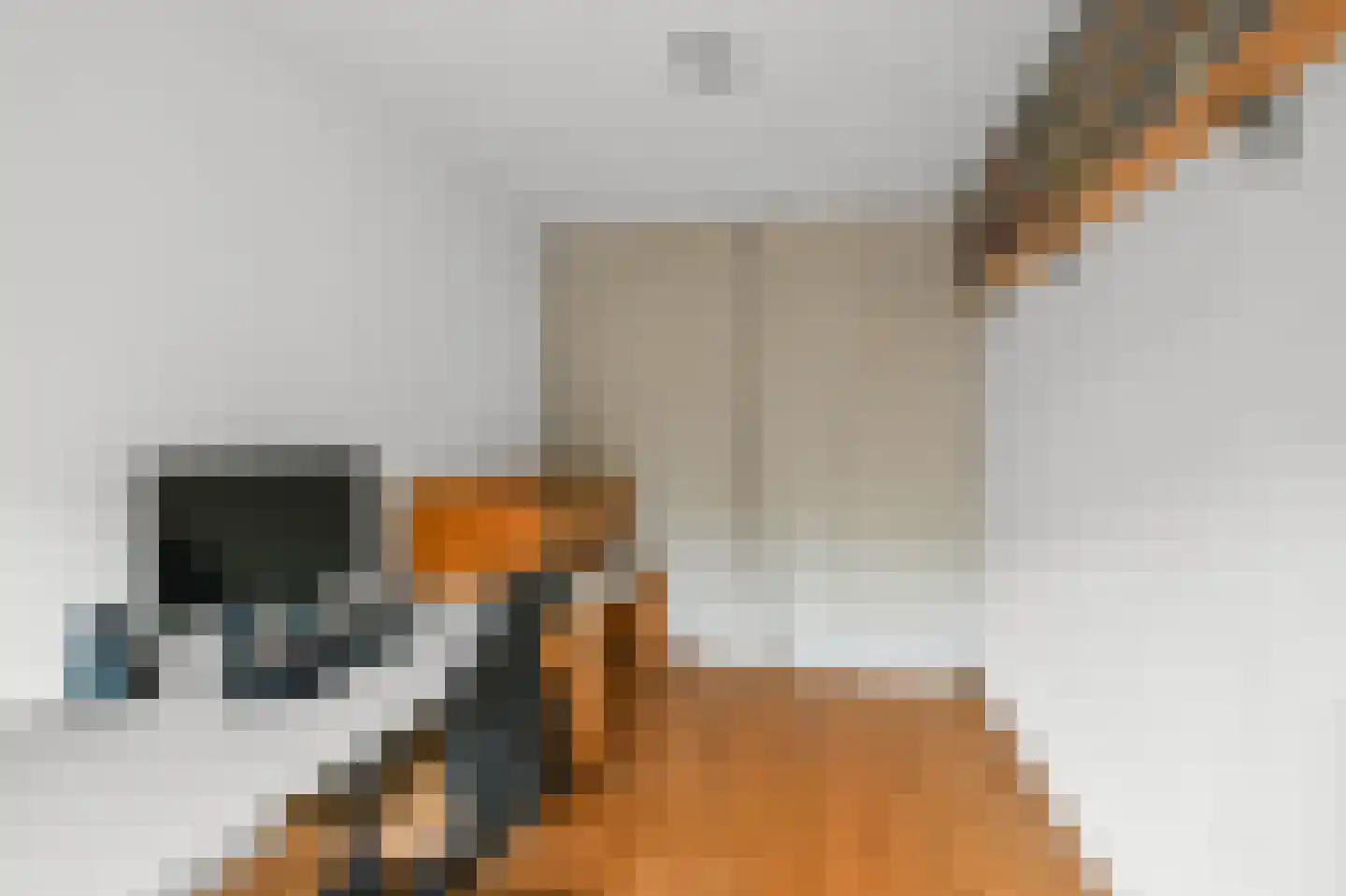 Ibishof 6 Hilversum thumbnail 12