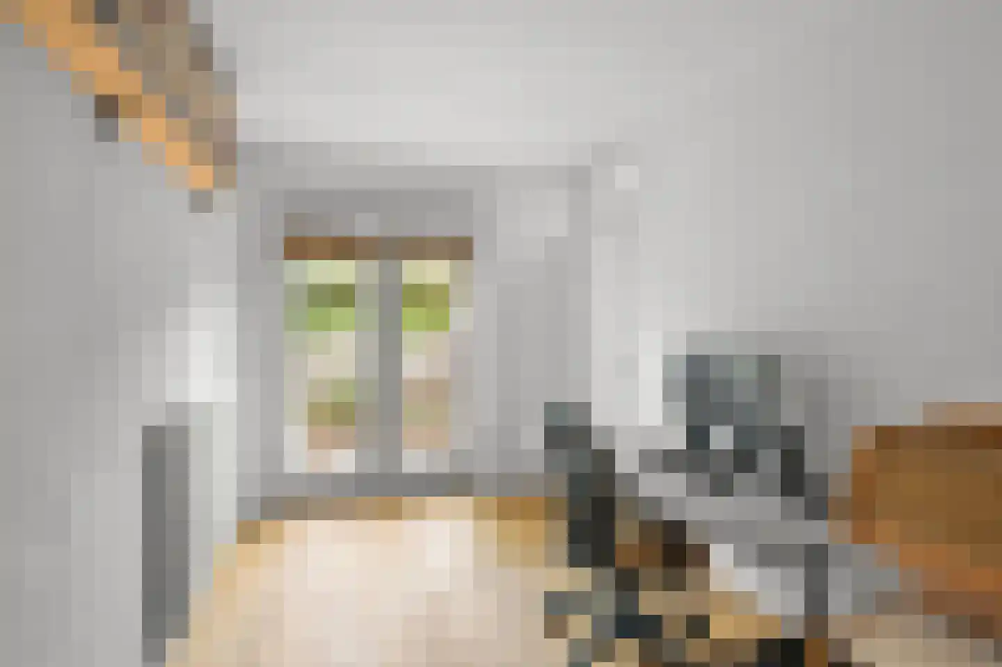 Ibishof 6 Hilversum thumbnail 13