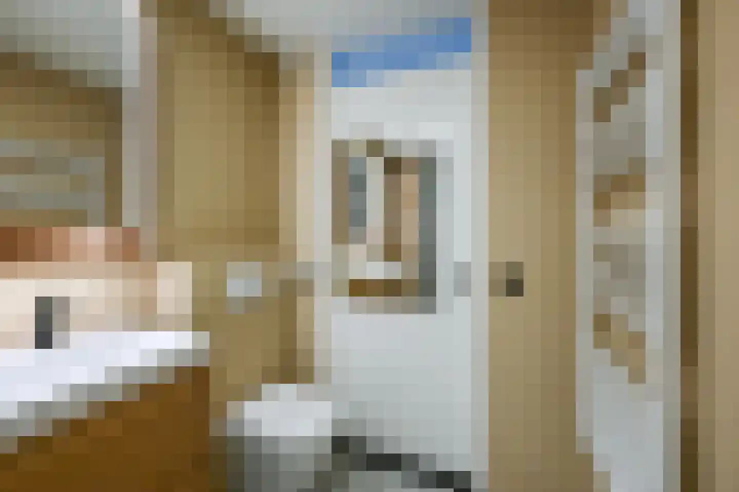Ibishof 6 Hilversum thumbnail 25