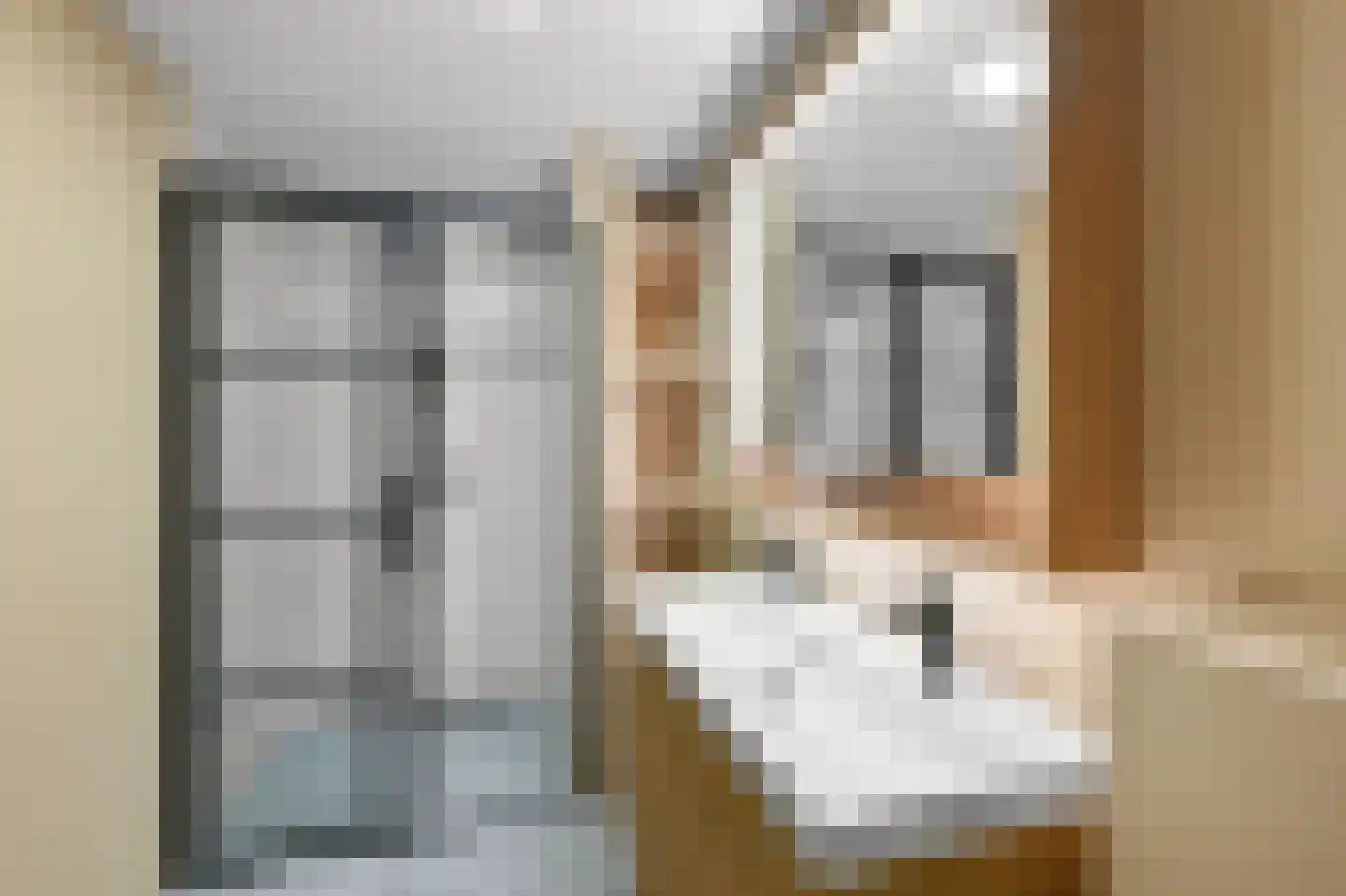 Ibishof 6 Hilversum thumbnail 27