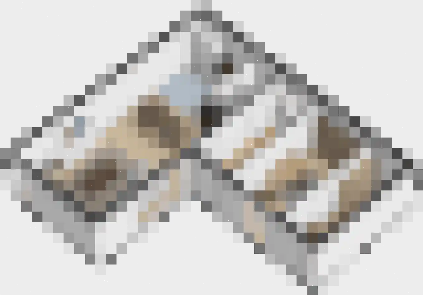 Ibishof 6 Hilversum thumbnail 32