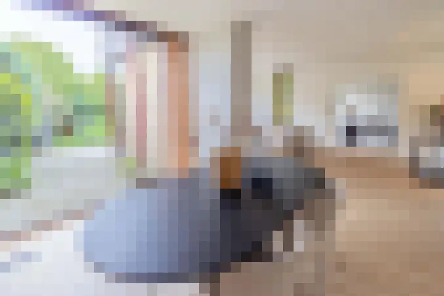 Ibislaan 9 Hoevelaken thumbnail 15