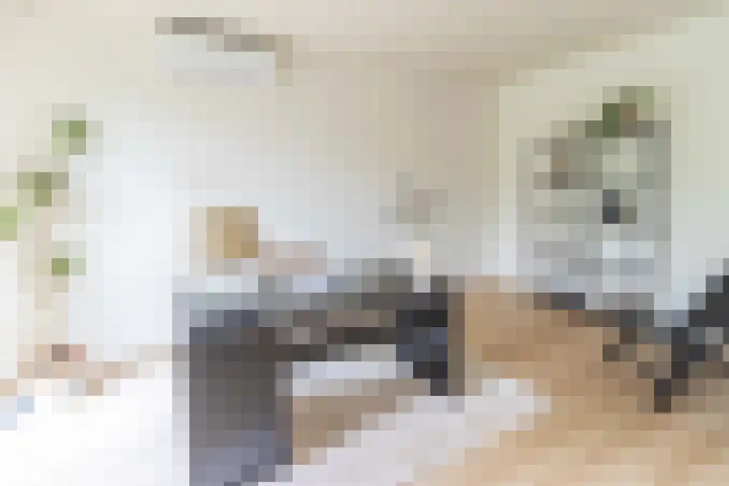 Ibislaan 9 Hoevelaken thumbnail 17