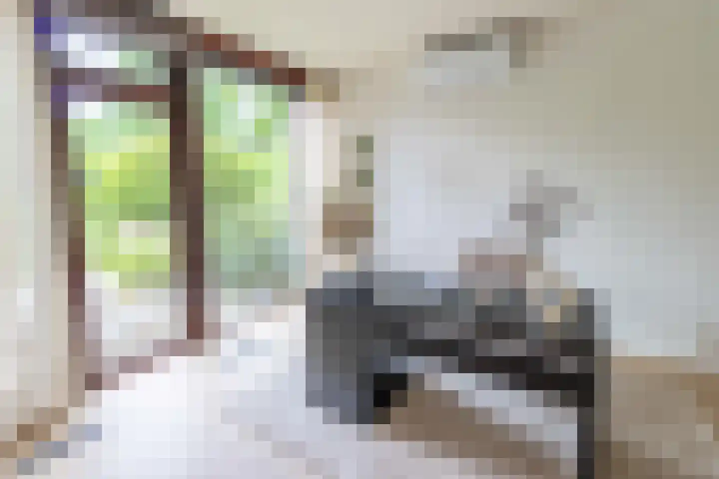 Ibislaan 9 Hoevelaken thumbnail 18