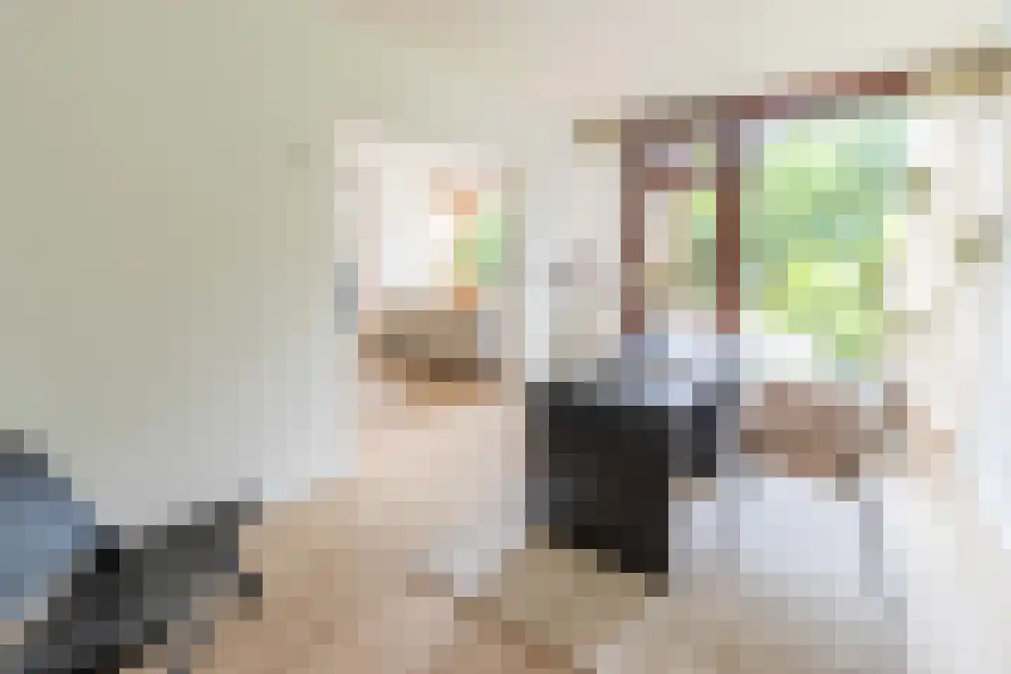 Ibislaan 9 Hoevelaken thumbnail 19