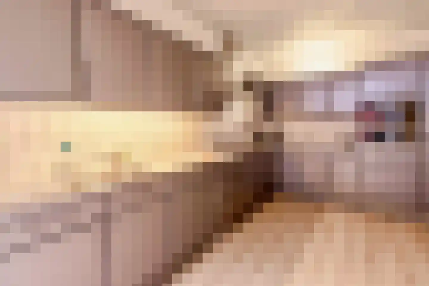 Ibislaan 9 Hoevelaken thumbnail 20