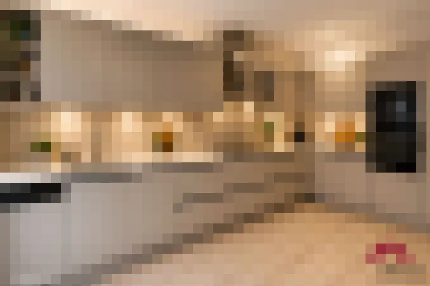 Ibislaan 9 Hoevelaken thumbnail 22