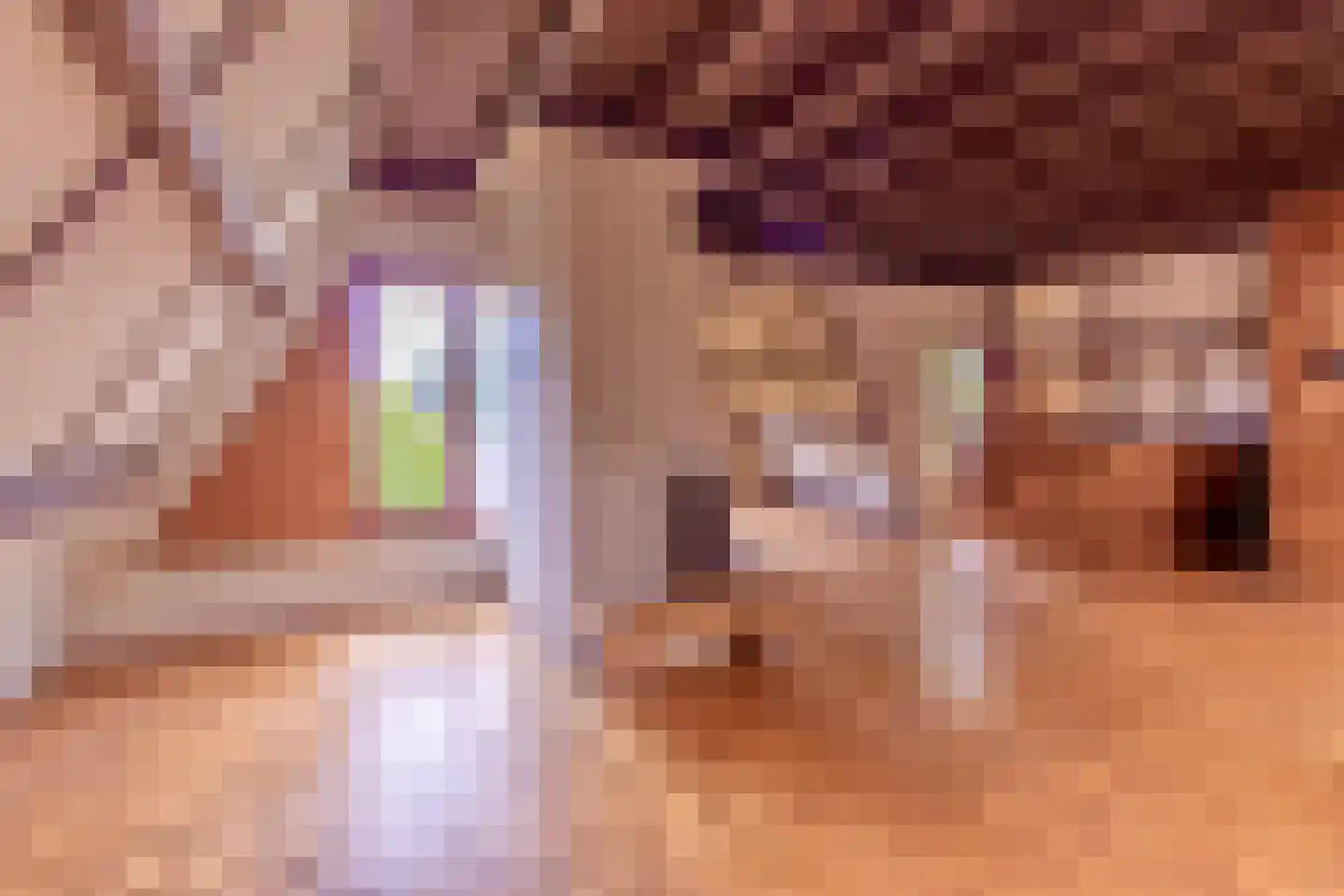 Ibislaan 9 Hoevelaken thumbnail 29