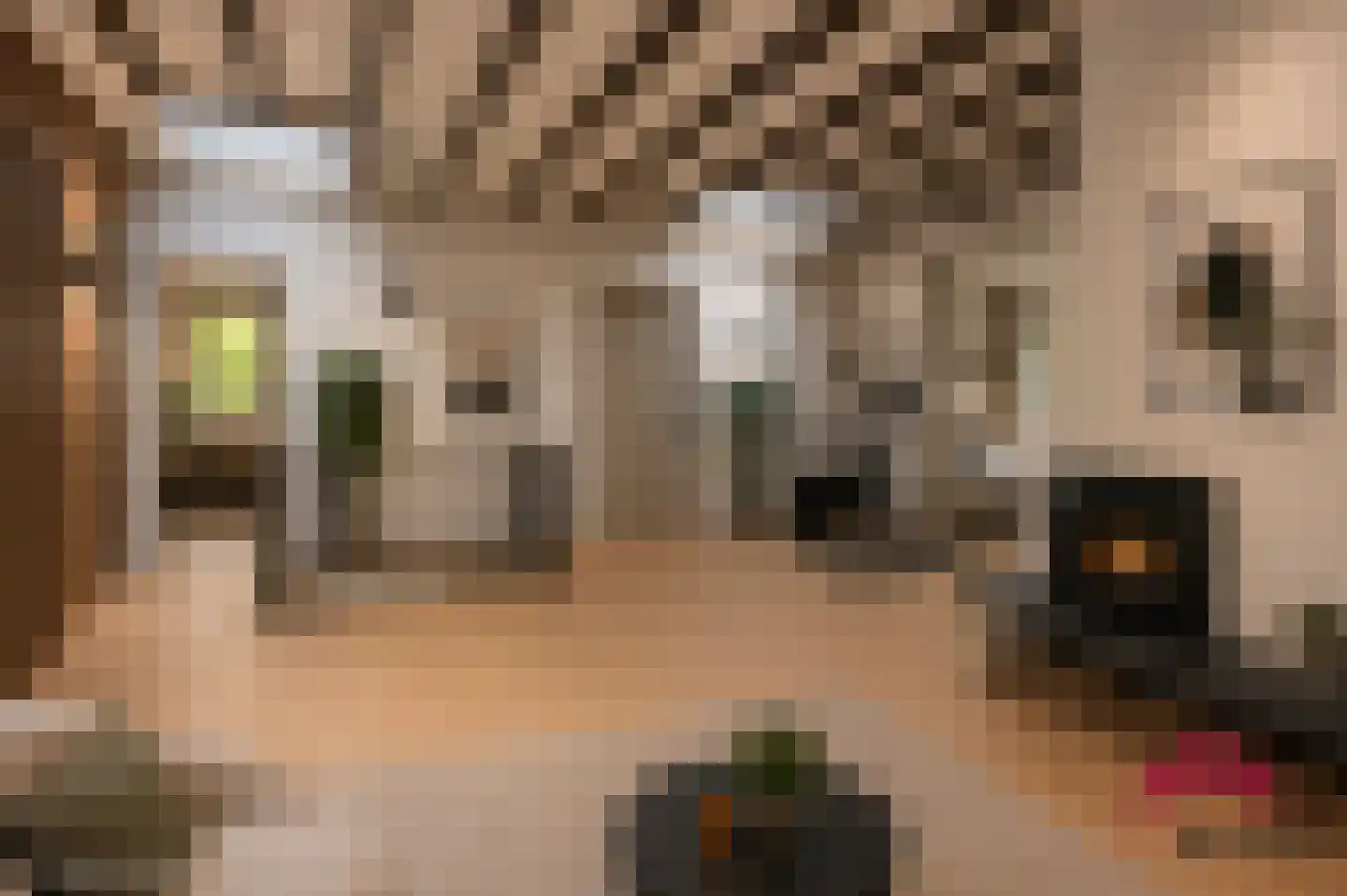 Ibislaan 9 Hoevelaken thumbnail 31