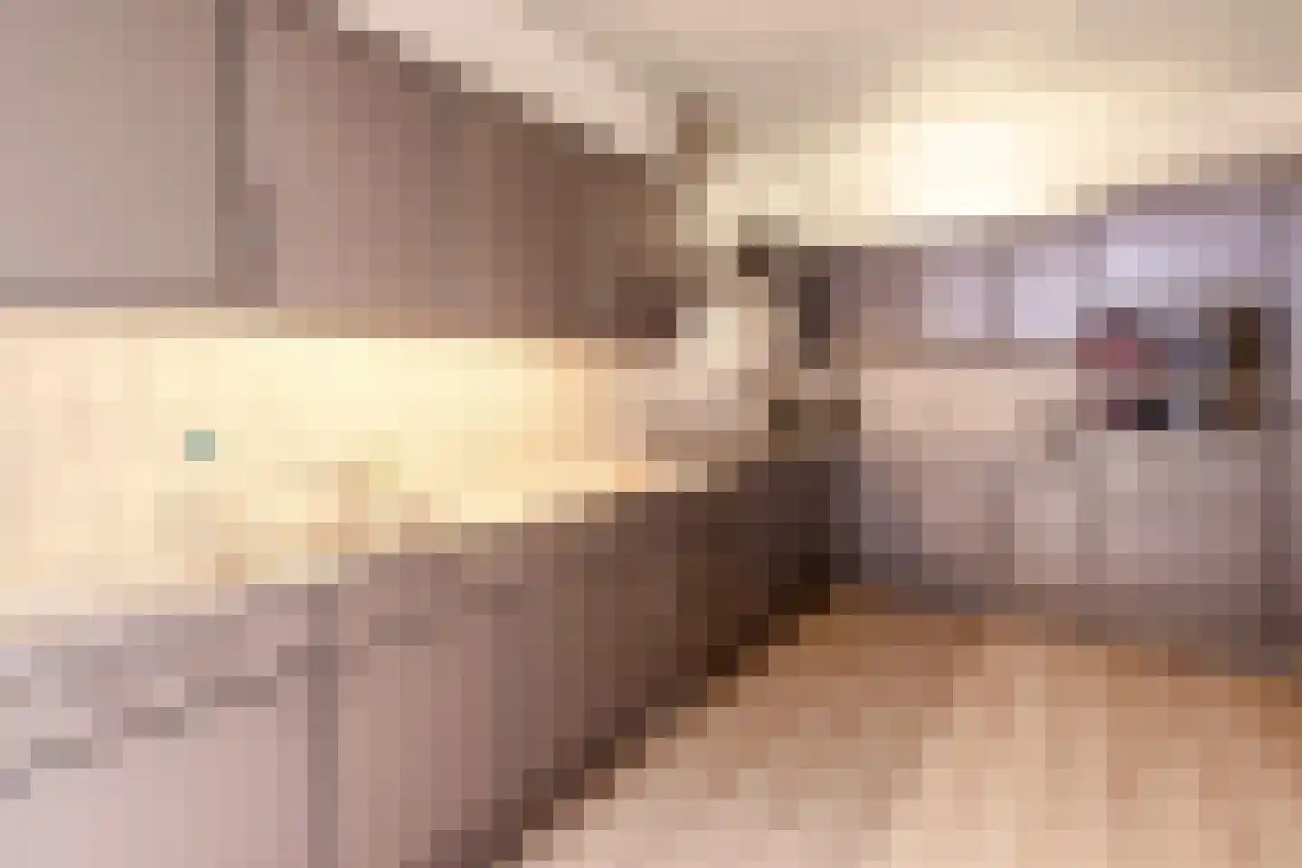 Ibislaan 9 Hoevelaken thumbnail 34
