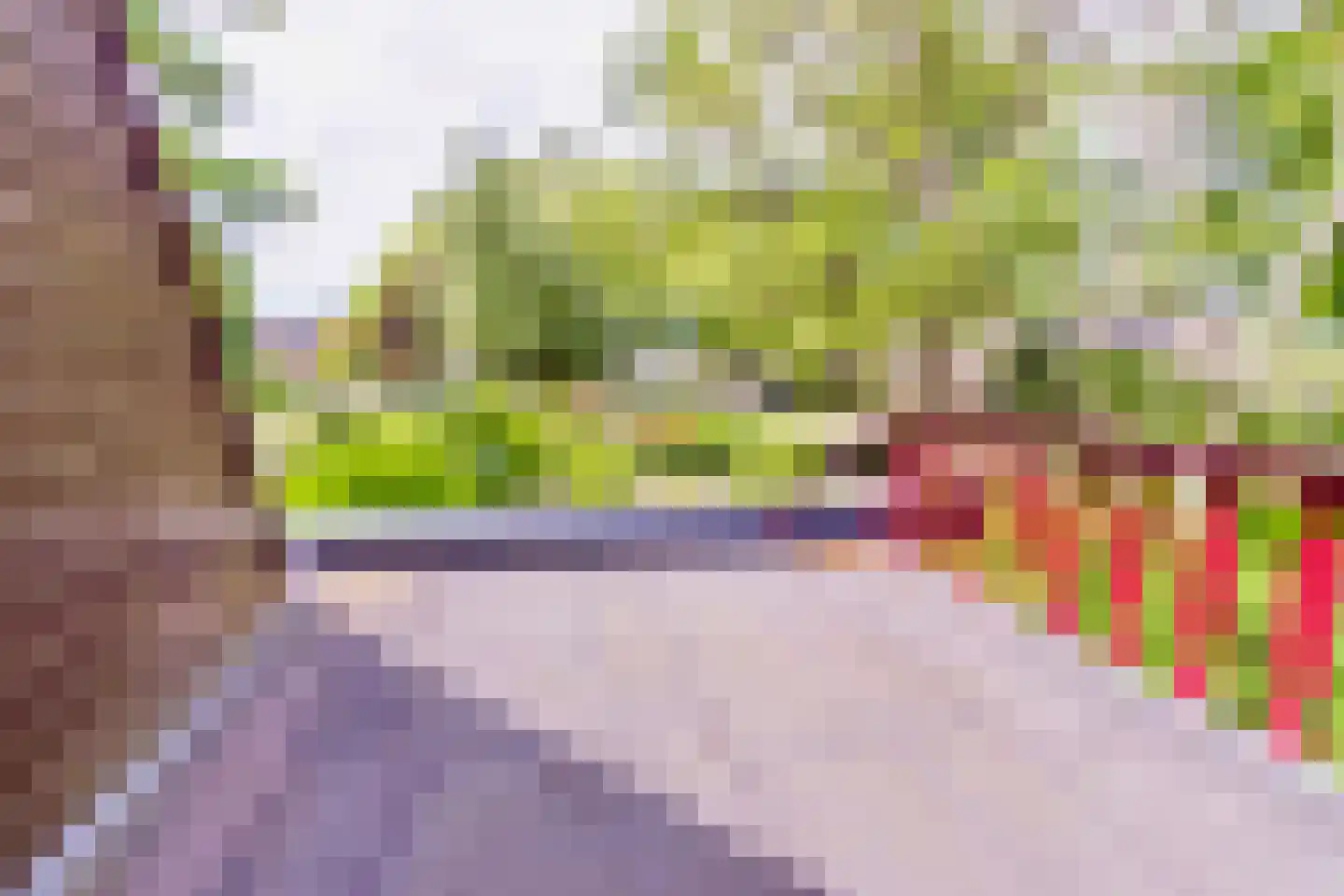 Ibislaan 9 Hoevelaken thumbnail 36