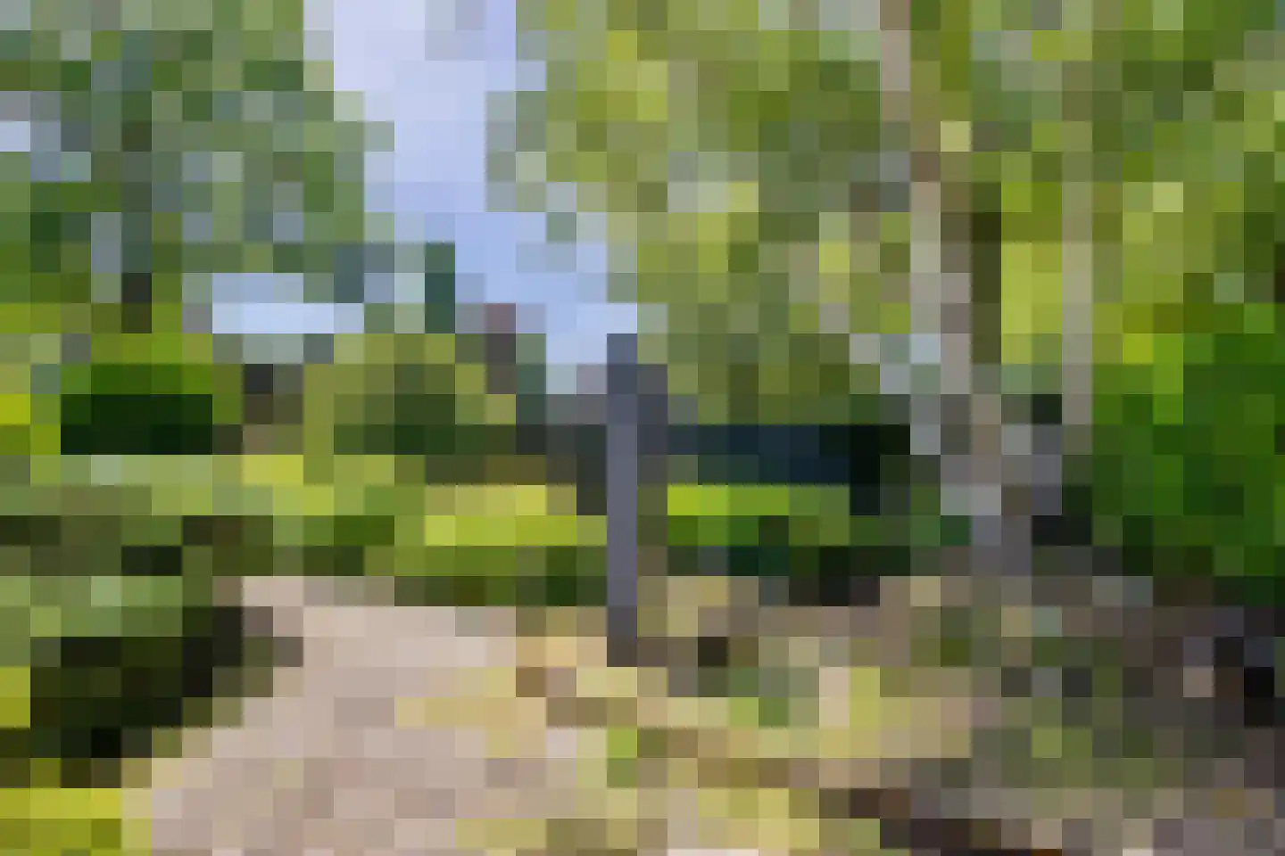 Ibislaan 9 Hoevelaken thumbnail 39