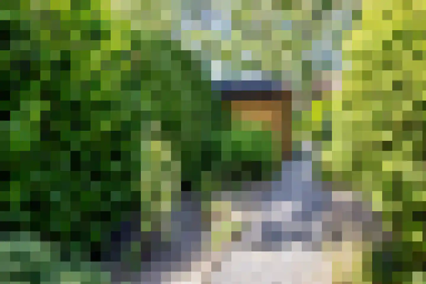Ibislaan 9 Hoevelaken thumbnail 40