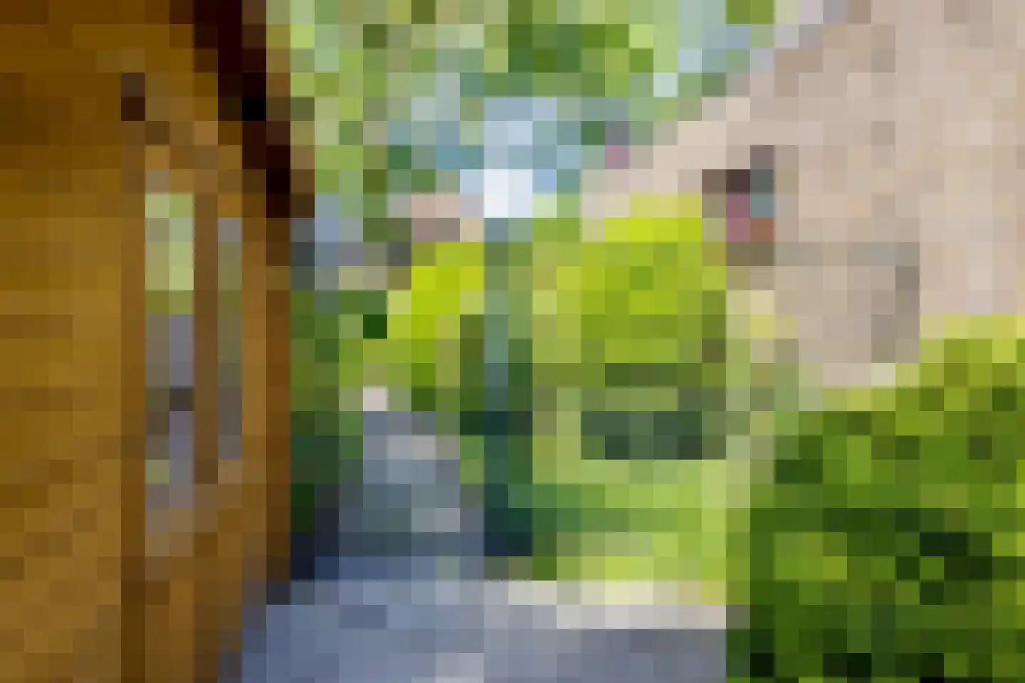 Ibislaan 9 Hoevelaken thumbnail 41
