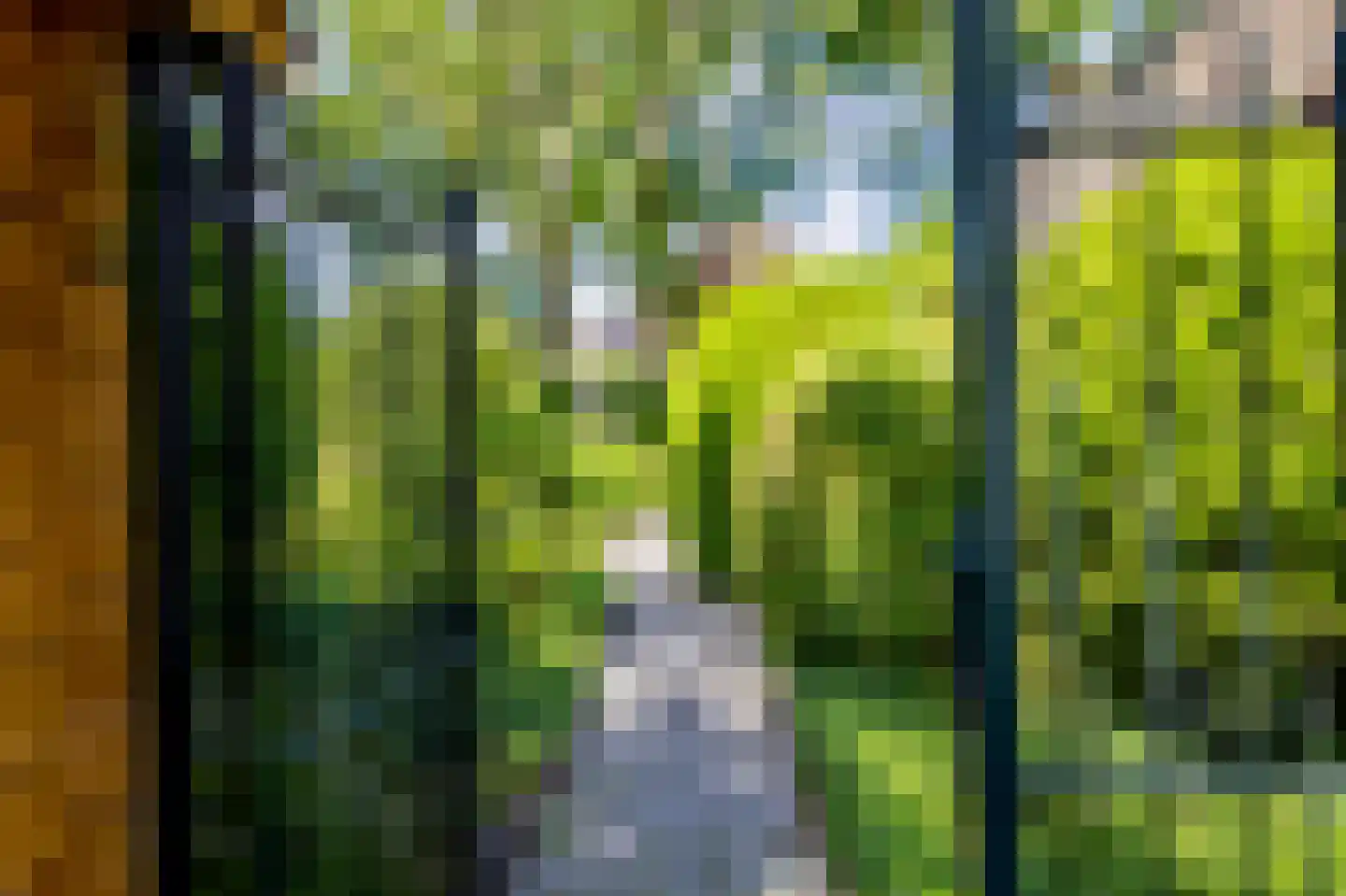 Ibislaan 9 Hoevelaken thumbnail 42