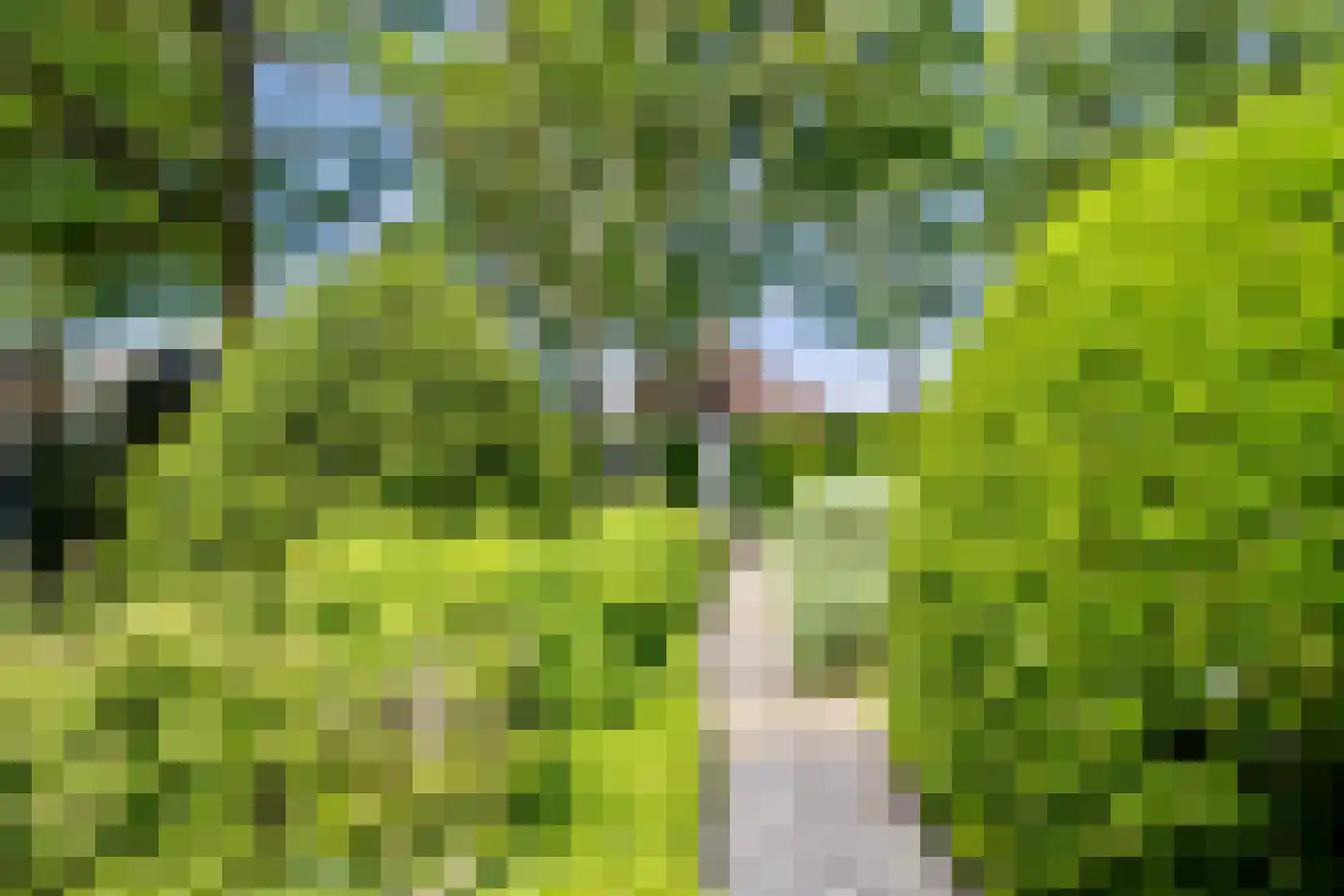 Ibislaan 9 Hoevelaken thumbnail 43