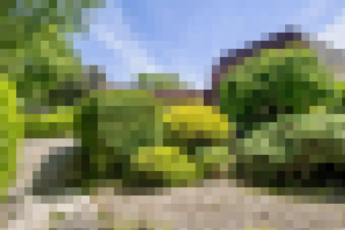 Ibislaan 9 Hoevelaken thumbnail 44