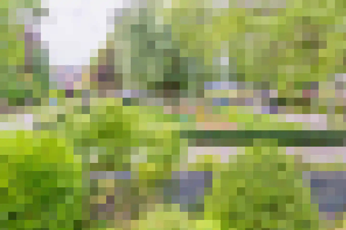 Ibislaan 9 Hoevelaken thumbnail 47