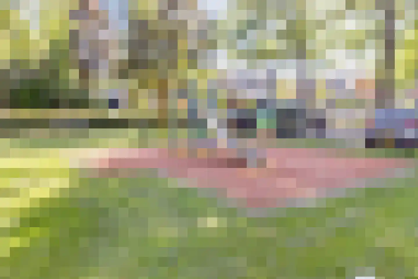 Ibislaan 9 Hoevelaken thumbnail 48