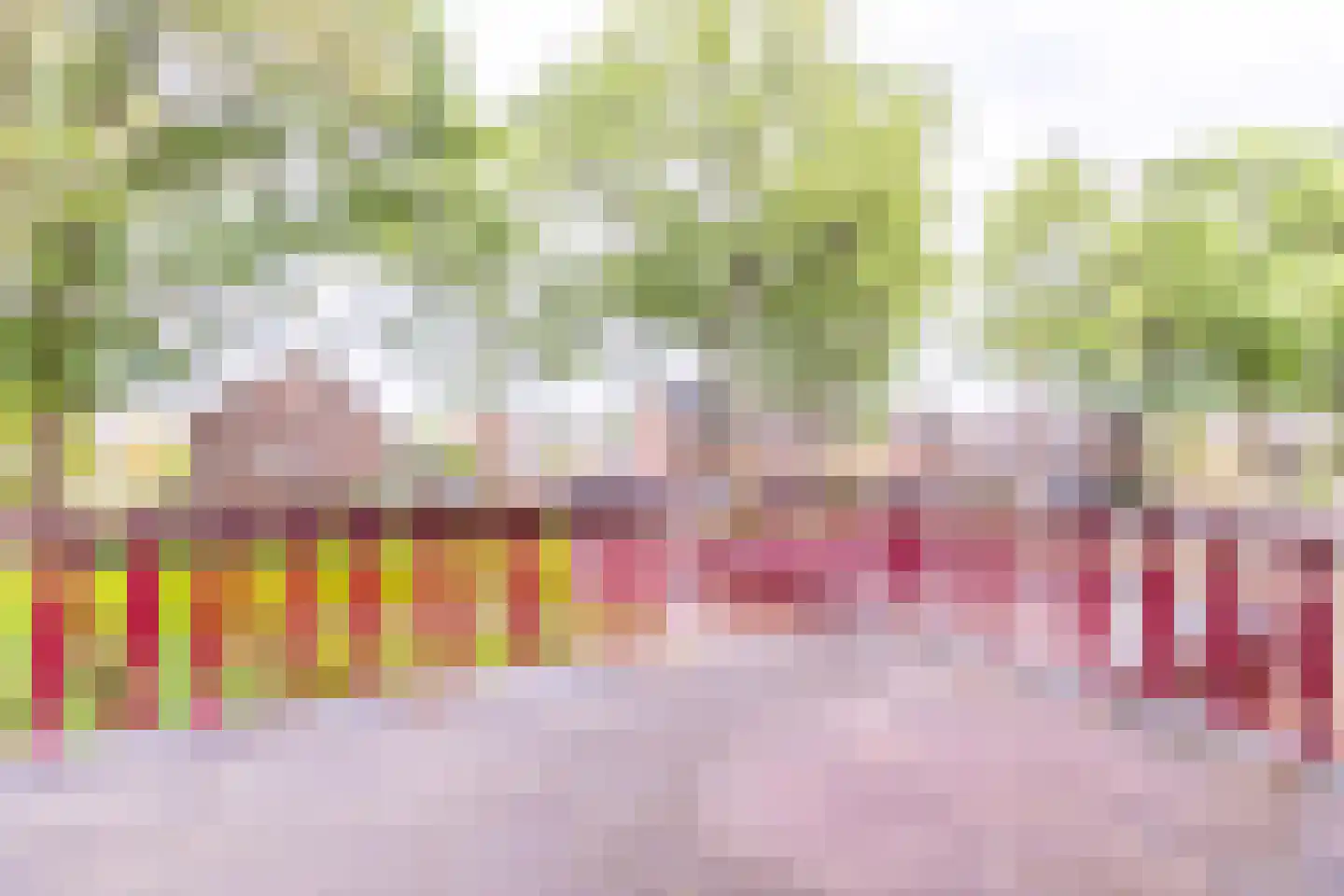 Ibislaan 9 Hoevelaken thumbnail 49