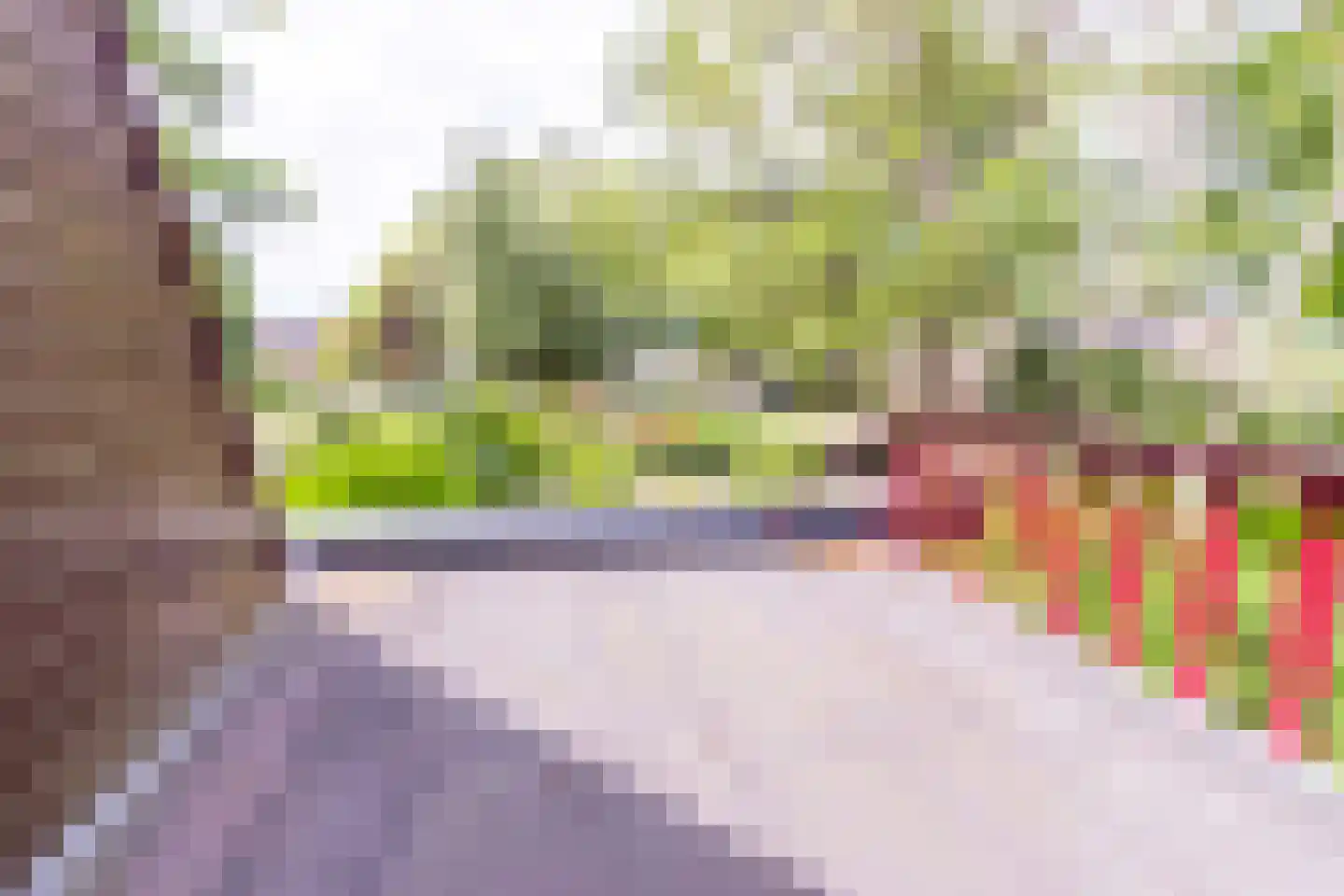 Ibislaan 9 Hoevelaken thumbnail 50