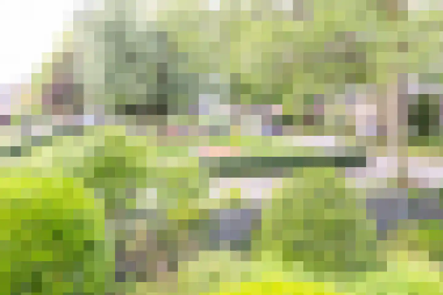 Ibislaan 9 Hoevelaken thumbnail 51
