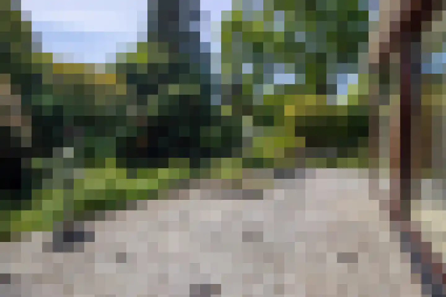 Ibislaan 9 Hoevelaken thumbnail 53