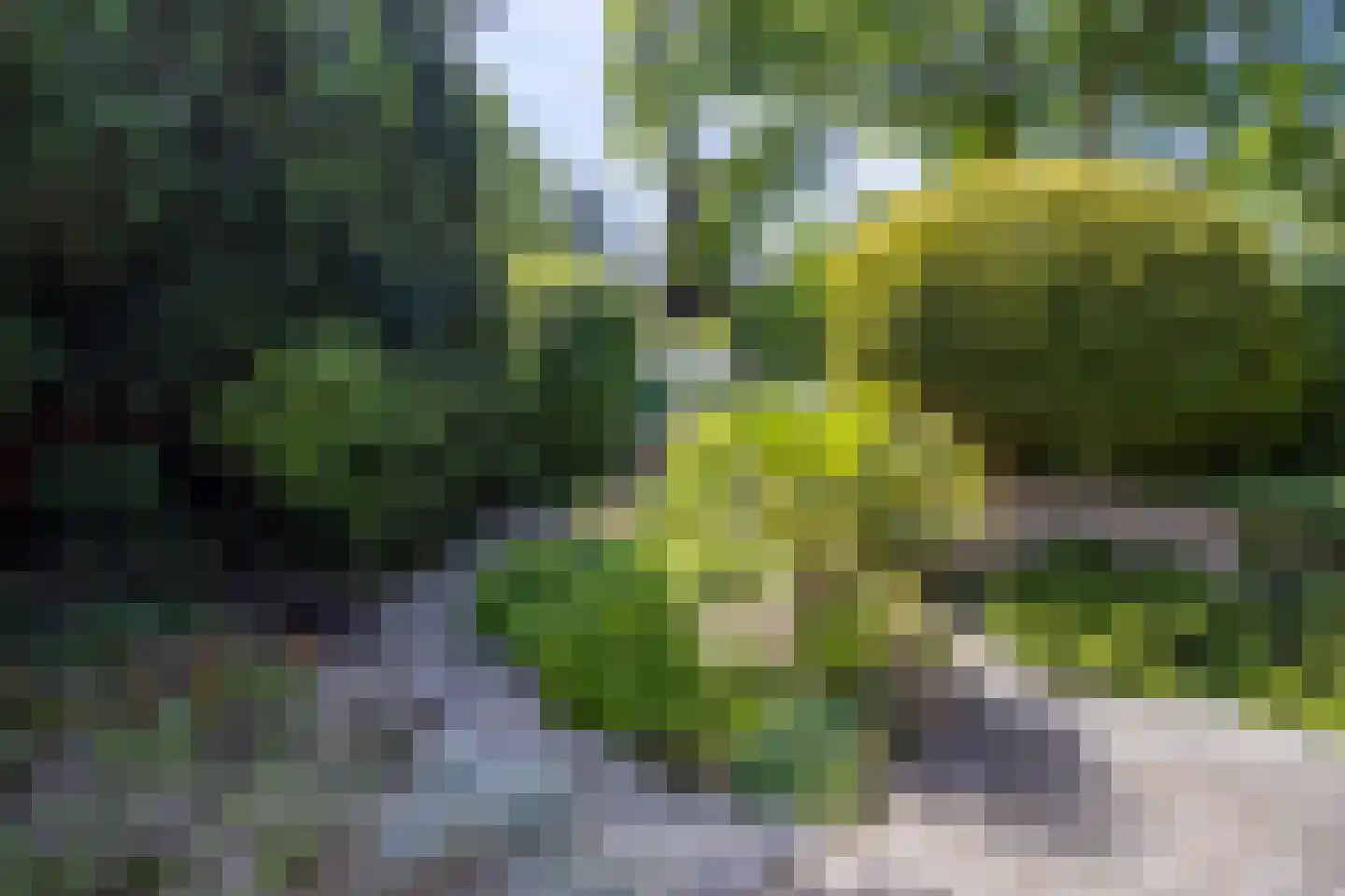 Ibislaan 9 Hoevelaken thumbnail 54