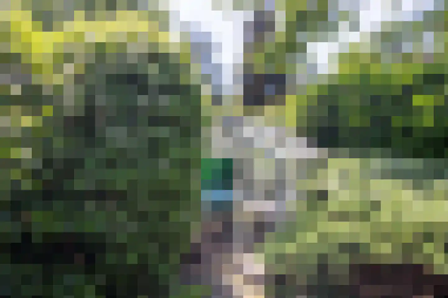 Ibislaan 9 Hoevelaken thumbnail 57