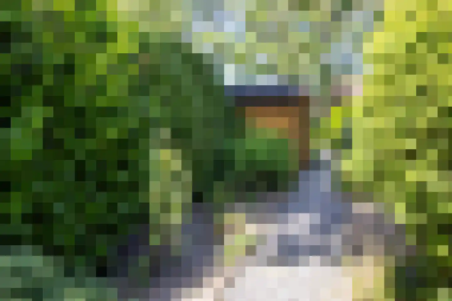 Ibislaan 9 Hoevelaken thumbnail 58