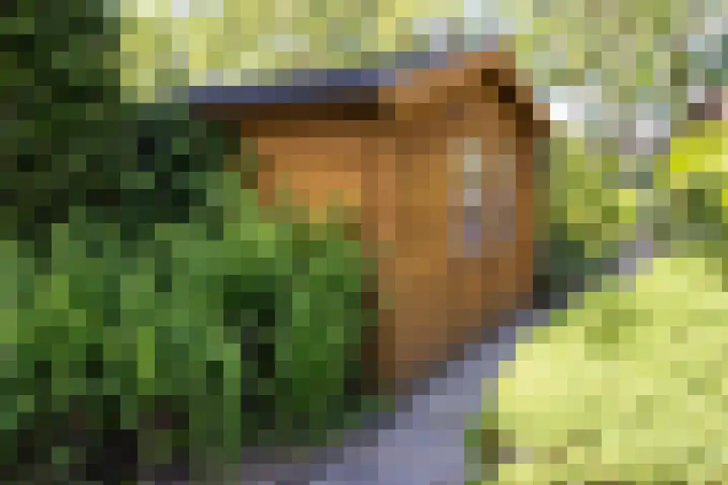 Ibislaan 9 Hoevelaken thumbnail 59