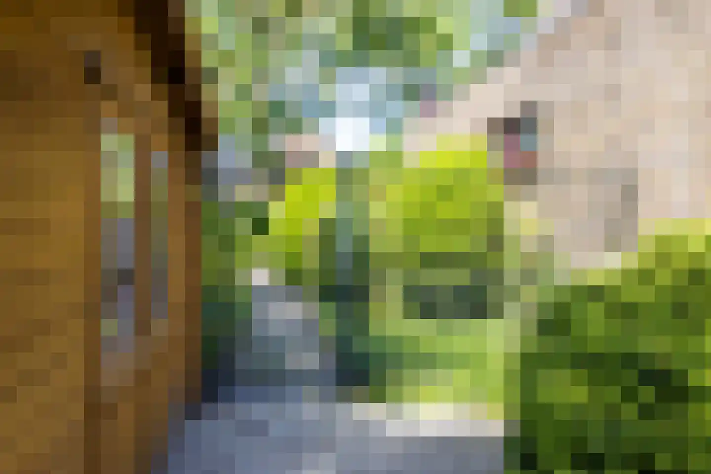 Ibislaan 9 Hoevelaken thumbnail 60