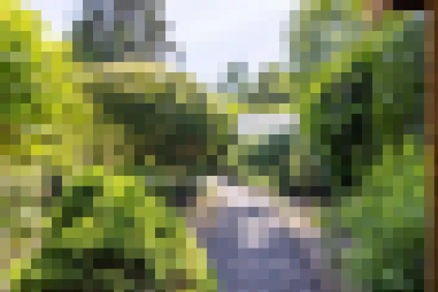 Ibislaan 9 Hoevelaken thumbnail 61